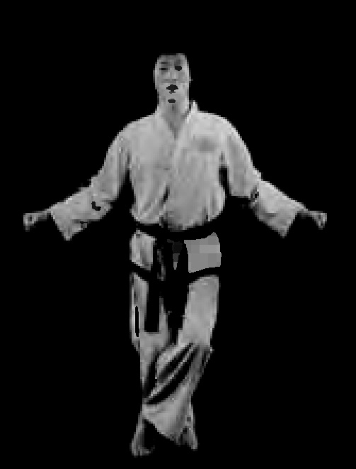 Taekwondo - X-stance